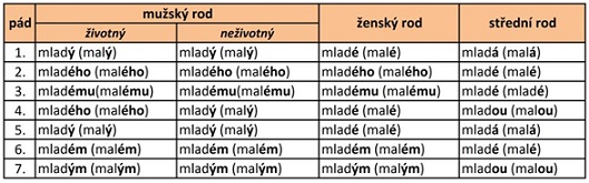 vzor mladý, jednotné číslo