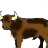 býk