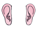 uši