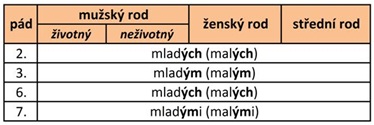 vzor mladý, množné číslo - společné tvary