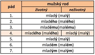 vzor mladý, životnost x neživotnost