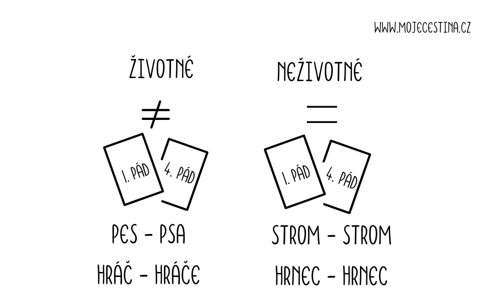 Kde se urcuje zivotnost?